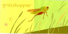 grasshopper